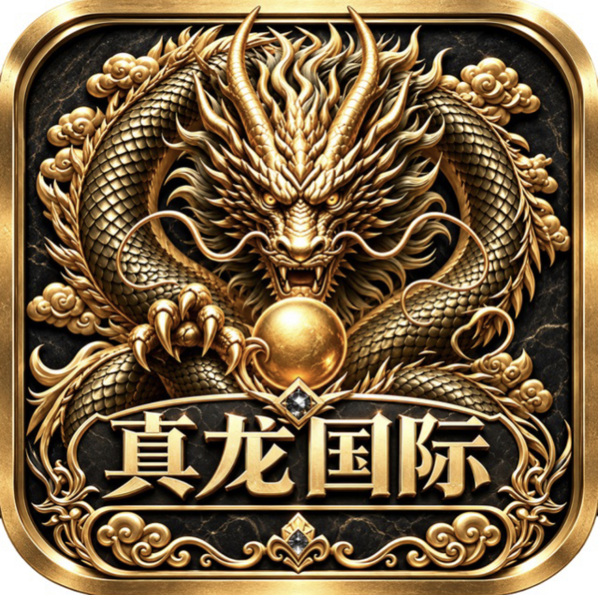 真龙国际